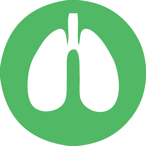 WellnessMart Tb Testing WellnessMart   Tb1 